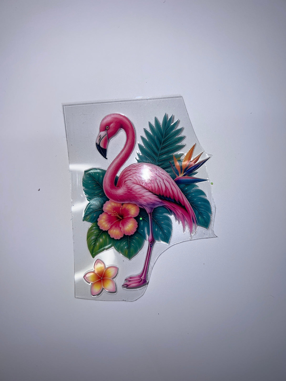Beach Flamingo
