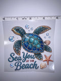 Ocean Sea turtle