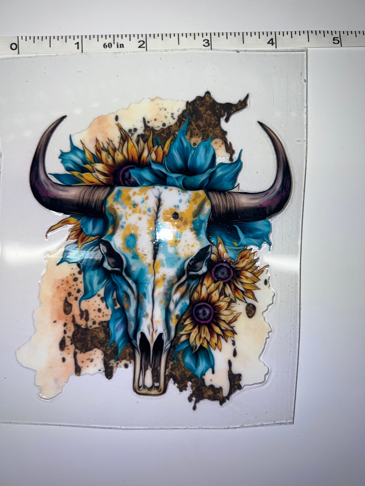 Western Bull Skull 2