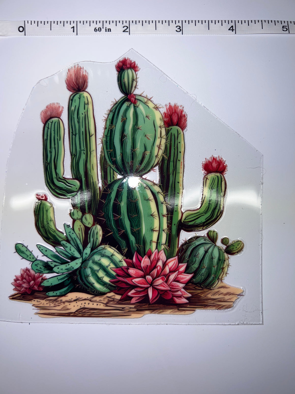 Western cactus