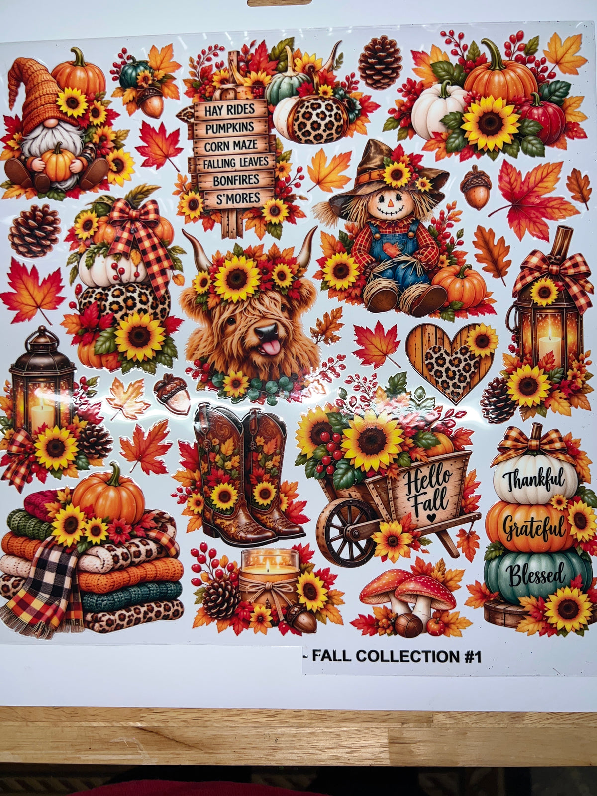 Fall #1