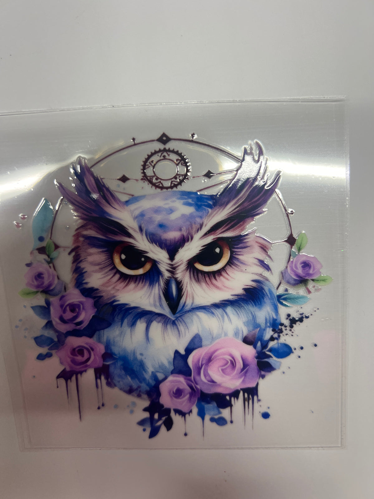 Owl